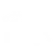 Enterprise Security Icon